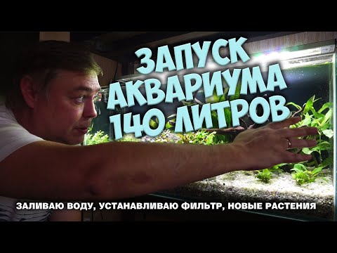 Видео: Запуск аквариума 140 литров. Заливаем воду. Ставим фильтр. Пересадка растений.