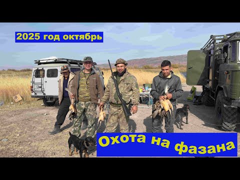 Видео: Октябрь 2025 год  Охота на фазана , рыбалка , отдых!!!