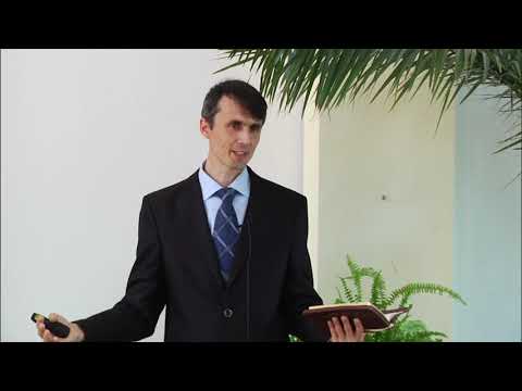 Видео: Ноев ковчег