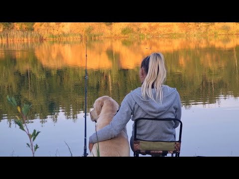 Видео: Классная рыбалка с женой / Большая рыба клюёт одна за одной