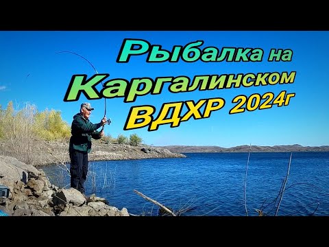 Видео: Рыбалка на Каргалинском ВДХР Первая баранка г  Актобе 2024г