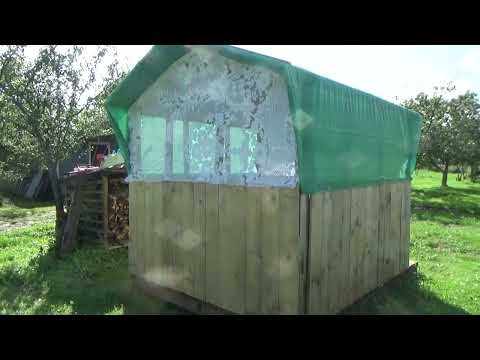 Видео: Обзор прошедших дней. Что происходит на даче.