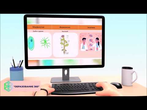 Видео: УРОК 1|7 класс. Многообразие организмов, их классификация.