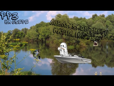 Видео: РР3 ЛОВЛЯ ЗАЧЕТНОГО КАРПА,ПЛОТВЫ НА ОЗЕРЕ 