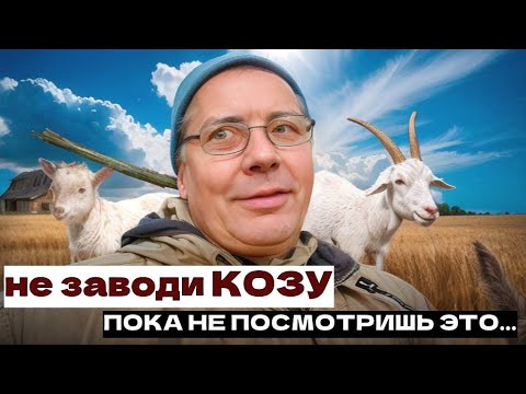 Видео: Об этом стоит знать, прежде чем заводить козу🐐 Совет бывалого фермера🐐🐐🐐 #МоеПодворье