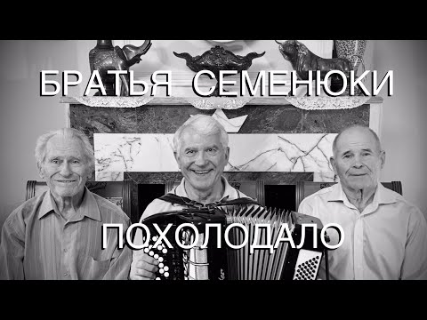 Видео: Очень красивая русская песня на баяне! (БРАТЬЯ СЕМЕНЮКИ - ПОХОЛОДАЛО)