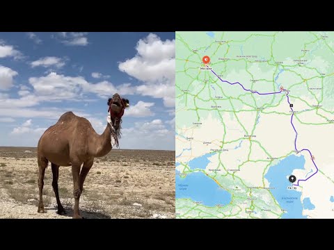 Видео: Москва - Актау на машине