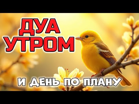 Видео: ДУА УТРОМ - И ВСЁ ПОЙДЁТ ПО ПЛАНУ 📋🌞