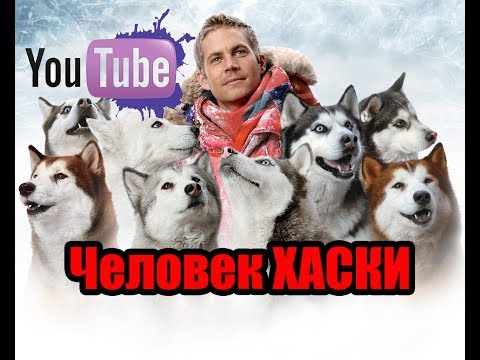 Видео: Хаски, очень познавательный фильм, как содержать хаски! Der Husky Mann 2017