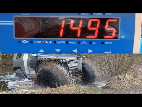 Видео: Мангуст кадет  взвесил, что  в итоге!