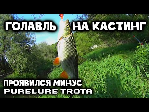 Видео: Голавль в начале лета | Ловля на малой реке | Purelure TROTA 472UL