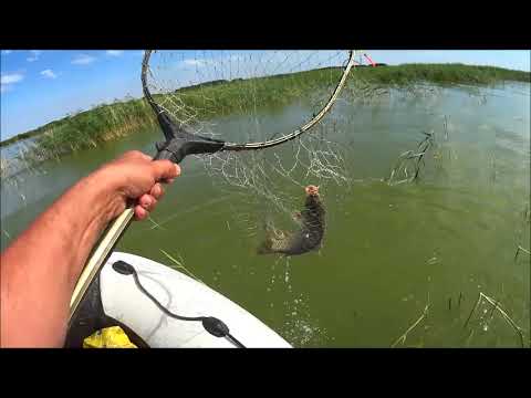 Видео: Чаны! Рыбалка с лодки! Клёв крупного сазана! Конец июля!