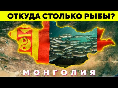 Видео: ПОЧЕМУ В МОНГОЛИИ ТАК МНОГО РЫБЫ? Монгольская рыбалка