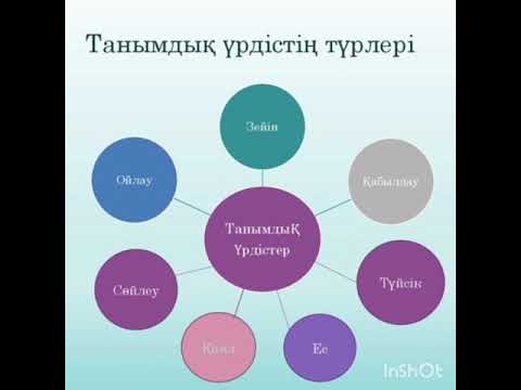 Видео: Психикалық танымдық аймақтар
