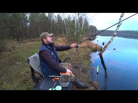 Видео: С пикером на торфяное озеро!