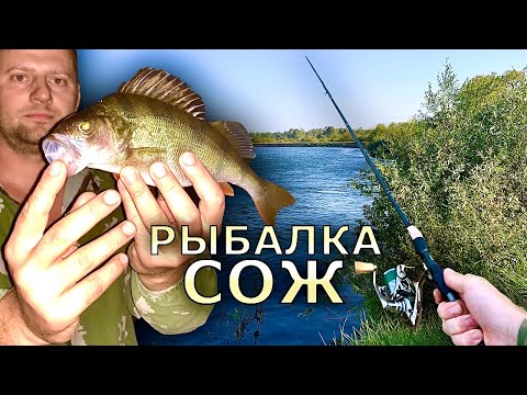 Видео: Рыбалка на реке Сож. Готовим раков на природе