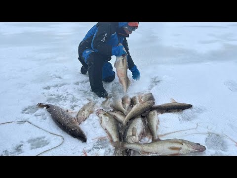 Видео: ТА САМАЯ ЛУНКА, КОТОРУЮ МЕЧТАЕТ НАЙТИ КАЖДЫЙ! Рыбалка в коряжнике, которую не забыть!