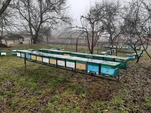 Видео: Причіп для бджід на пневматичній підвісці