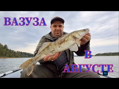 Видео: Судаки и Щуки На Джиг | Рыбалка На Вазузском Водохранилище