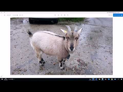 Видео: 1080. "Выйдем со двора" – диалог с глаголами типа "лашэвэт" в буд. времени