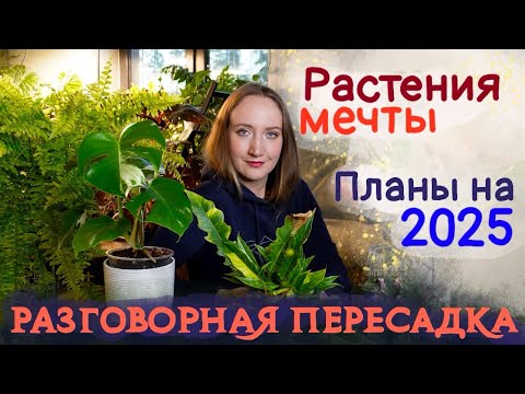 Видео: Разговорная пересадка | Планы на 2025 | Растения мечты