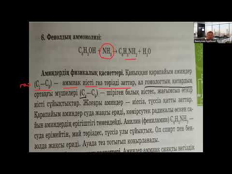 Видео: Аминдер