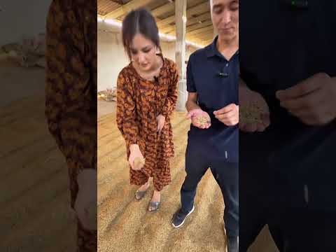 Видео: Кадамжайда ушундай кыйн кыздар бар экенин билесизби ? Ал кыз Алина Исакова