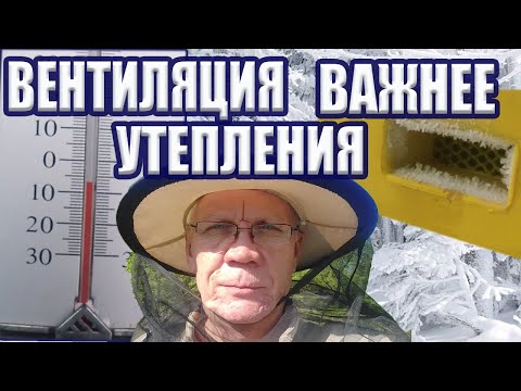 Видео: Вентиляция в улье зимой. Какие ПРИЗНАКИ Недостаточной вентиляции?