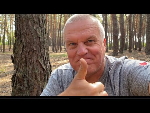 Видео: Я и не ожидал столько Грибов найти!🍄‍🟫Такого здесь с нами ещё не было! Это просто кайф,наслаждение!