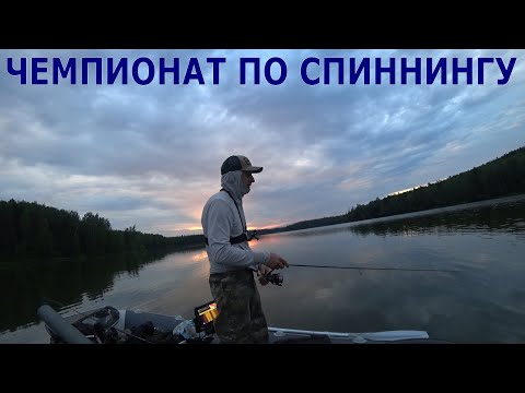 Видео: ОКУНИ ПРОТИВ СУДАКОВ. ЧЕМПИОНАТ ПО СПИННИНГУ