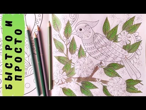 Видео: КАК РАСКРАСИТЬ ЛИСТЬЯ / ЗЕЛЕНЬ ЦВЕТНЫМИ КАРАНДАШАМИ (фоновая раскраска)