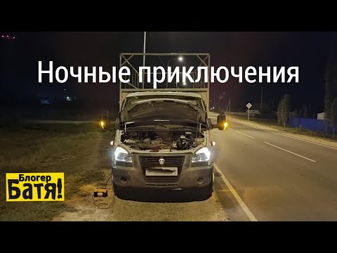 Видео: Ночные приключения.