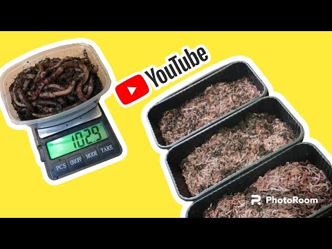 Видео: 50 литров торфа 5 кг дэндры, коконов просто море