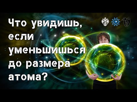 Видео: Что увидишь, если уменьшишься до размера атома?