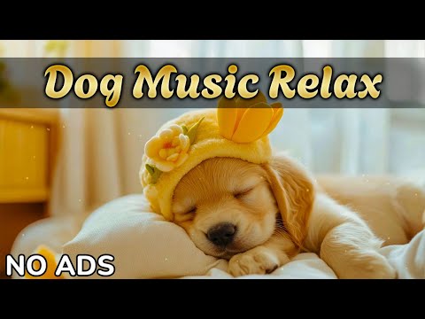 Видео: Музыка для собак и щенков 🐾 Снятие стресса, тревоги и улучшение сна 🎶  Без рекламы