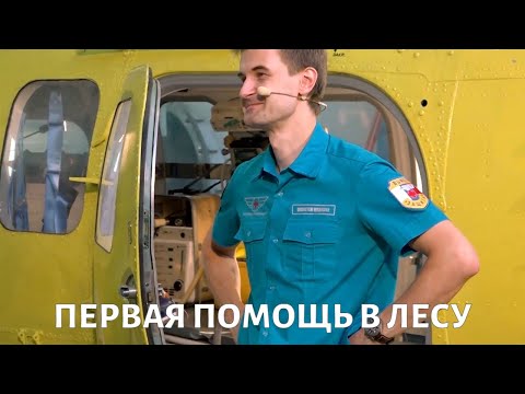 Видео: Что делать, если вы заблудились в лесу?