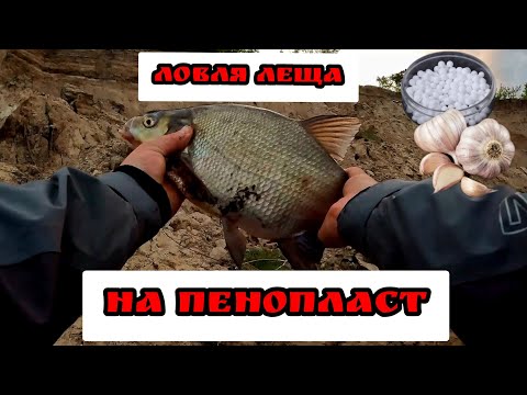 Видео: Ловля леща на донки!  Рыбалка на Оке!  Такого я не ожидал Клюет только на пенопласт с чесноком