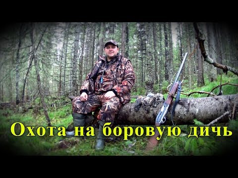 Видео: Охота на боровую дичь. Рябчики, зайцы, лоси, медведи, кого у нас только нет!