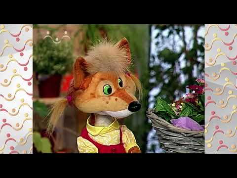 Видео: Шишкин Лес.  Зимний сад.  Примулы