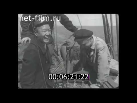 Видео: Лов сельди в СССР, 1955 год. Документальный фильм "На Дальневосточных морях"