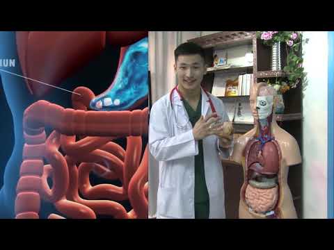 Видео: “Доктор Санчир” нэвтрүүлэг. Сэдэв: "Ходоодны хорт хавдар" /19.02.25/