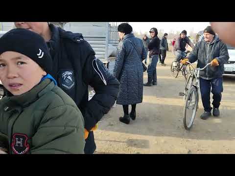 Видео: *25.02.2023 - Кызыл Суу мал базары*