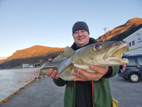 Видео: Давно не было  Решили бухануть  Норвегия