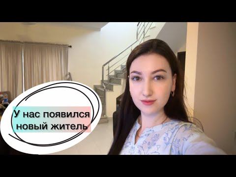 Видео: Домашний влог / Пакистан