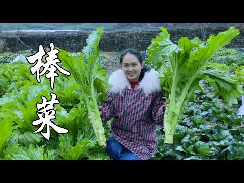 Видео: Этот овощ ест только стебли и листья для курицы. На вкус лучше, чем мясо