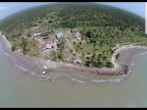 Видео: Что осталось от поместья Констанс в Икакосе с небольшой историей