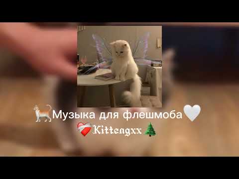 Видео: 💞Музыка для флешмоба🐣