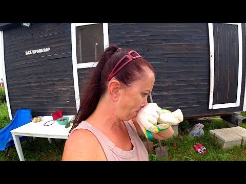 Видео: Просрали огород, но теперь мы его восстановим!
