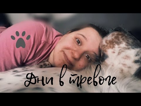 Видео: Дни тревожного человека | как я справляюсь?