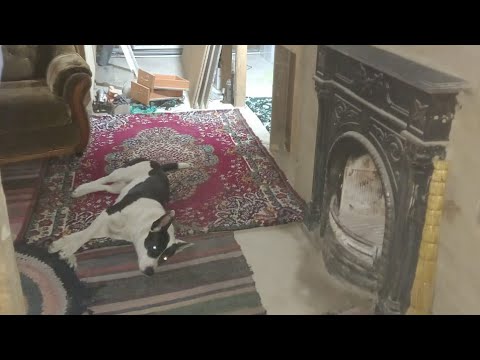 Видео: пиларама?! дом?! планы на жизнь)!